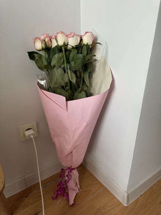 Цветы, роза, сегодняшний