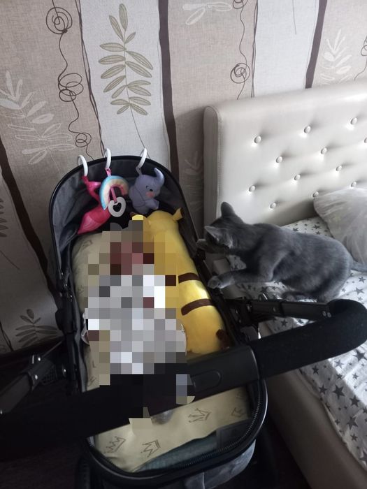 коляска Prego 737