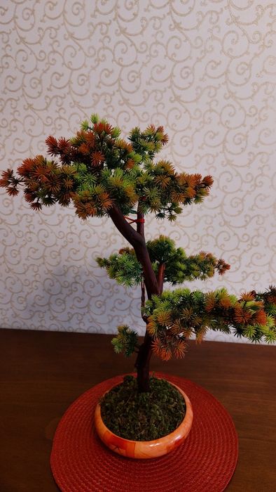 Бонсай авторская работа