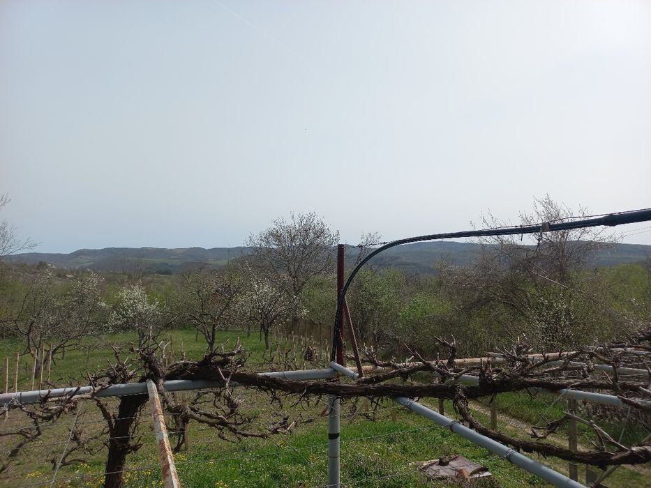 Продава се Къща в Дряново - 15 кв.м за 1190 €/кв.м - Снимка #2