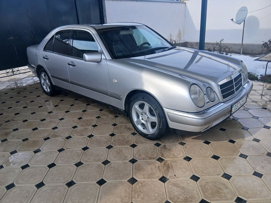 Мерседес лупарик