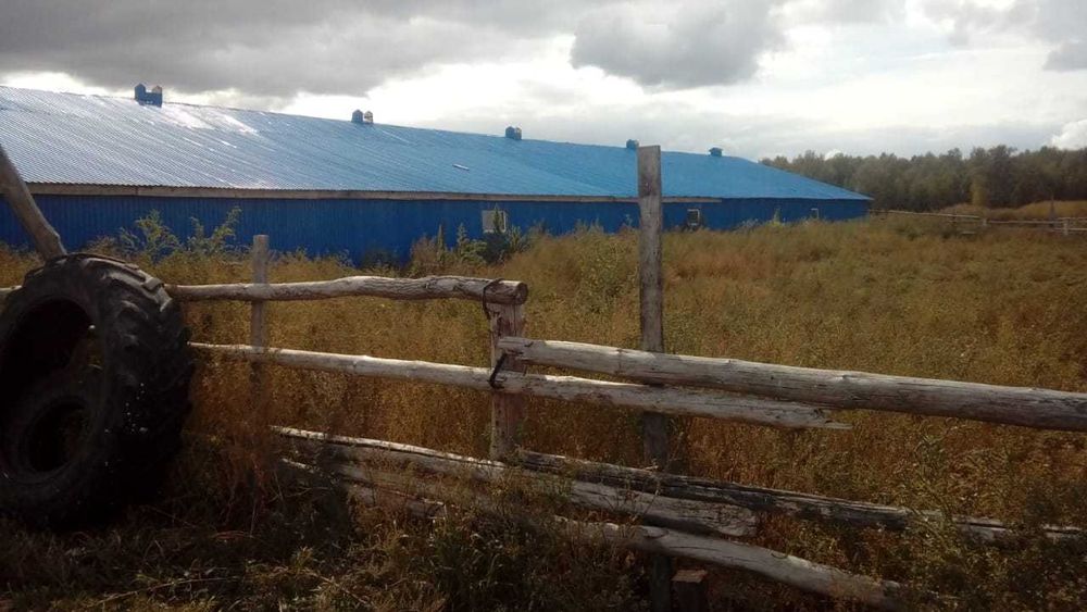Срочно! Продам базу. Трудовая Нива. 30 км от Петропавловска - View 4