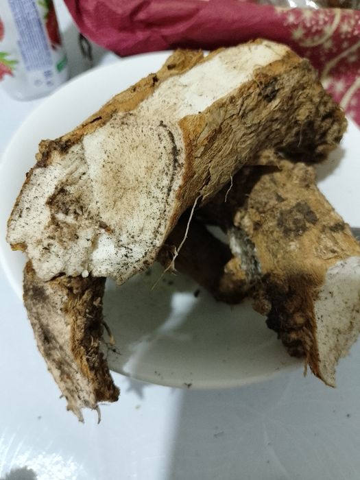 Продам корень хрена