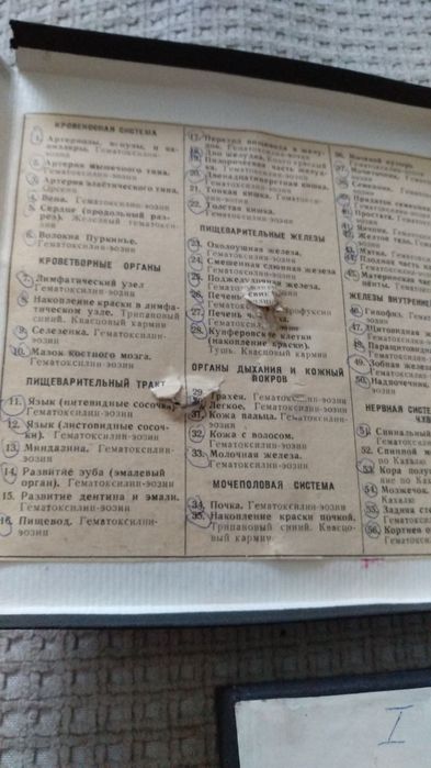 препараты для микроскопа