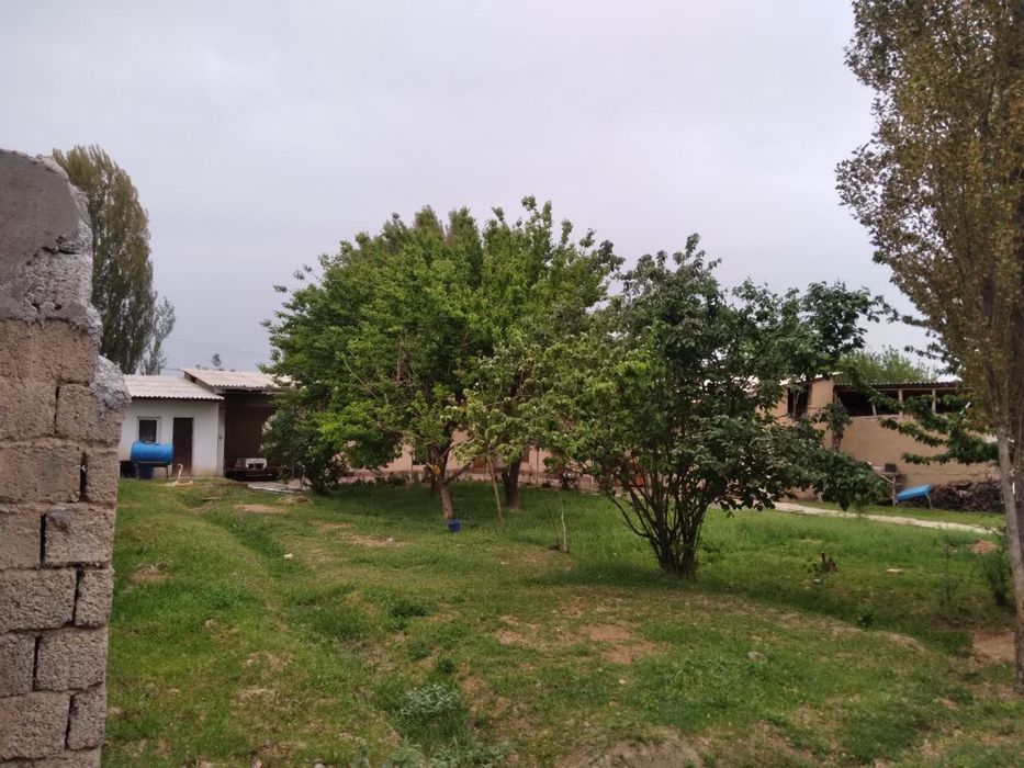 Участка сотилади срочный