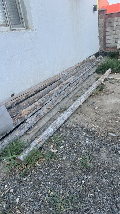 Борене сатылады 8 штук