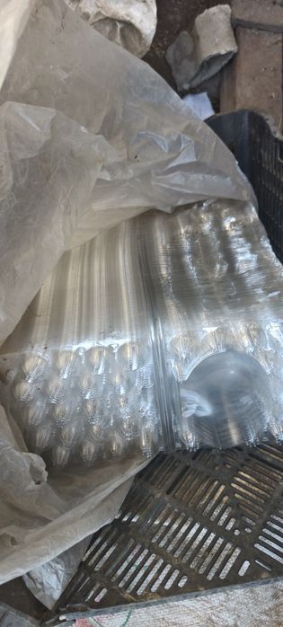 Каретки для перепелиных яиц