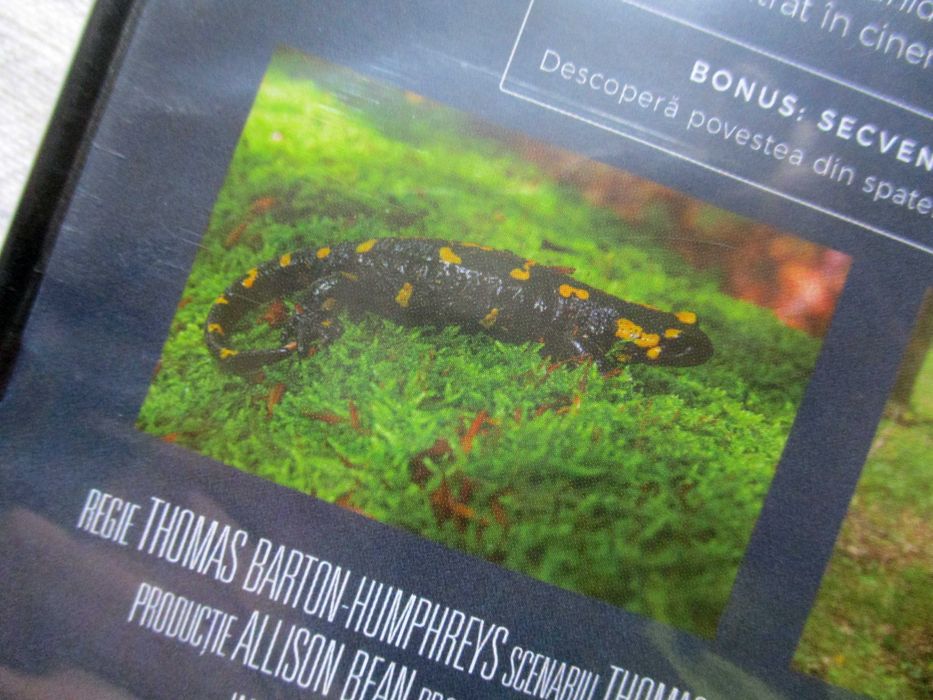 România neîmblânzită, DVD, nou