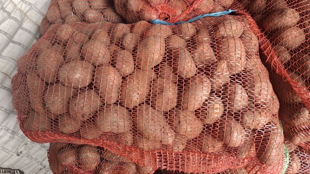 Vând cartofi consum