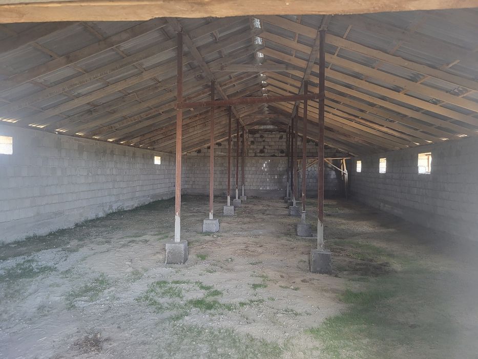 Фазендаға срочно срочно