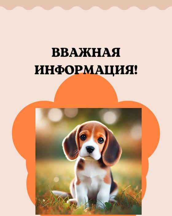 Бигль — это бренд, а не просто собака!