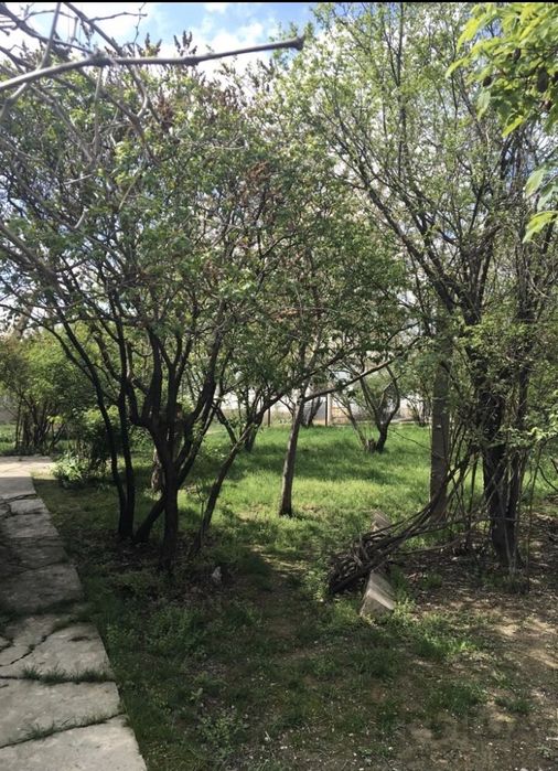 Дом для жилья, уютно, тихо, чистый воздух!