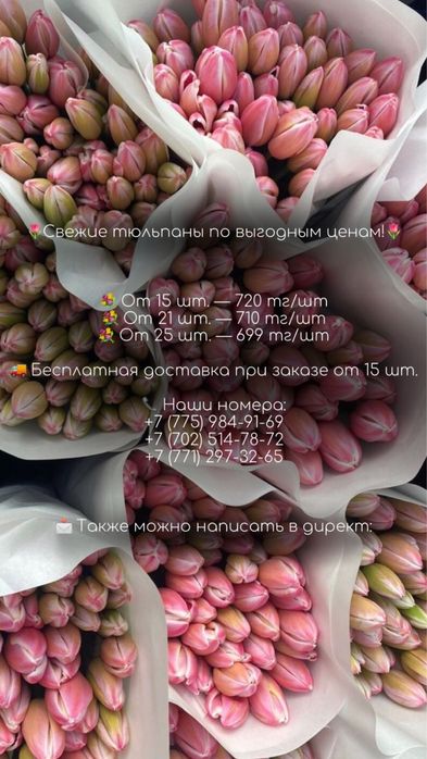 Тюльпаны в Караганде