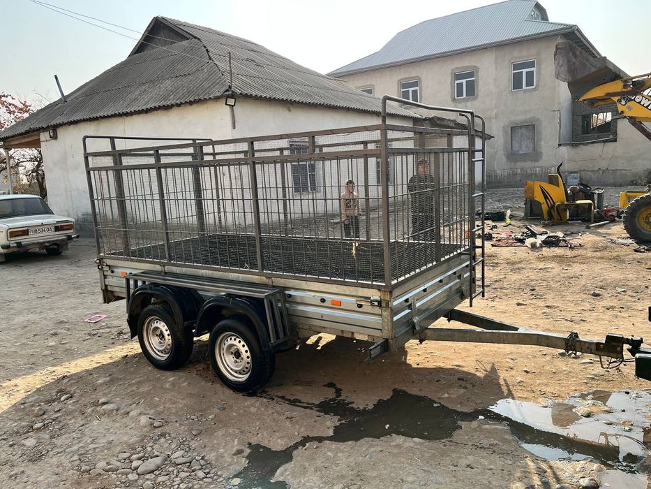 Rossiya pirisip yeni 150 yzuligi 305