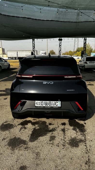 Byd seagull qora 2024/2025