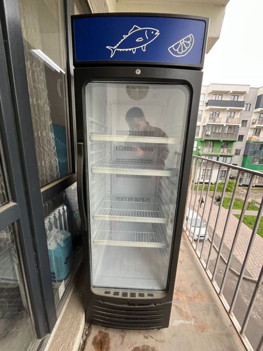 Холодильник Стеклянный