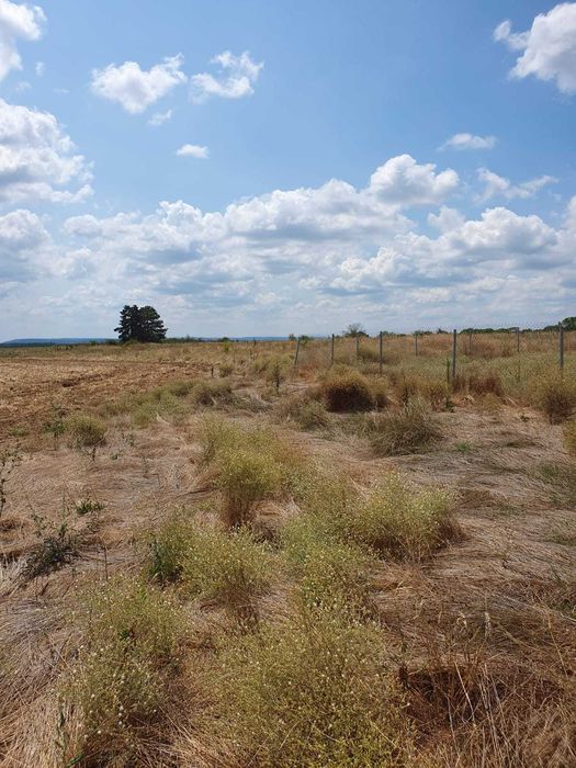 Продава се Парцел в с. Близнаци, Област Варна - 2428 кв.м за 25 €/кв.м - Снимка #6