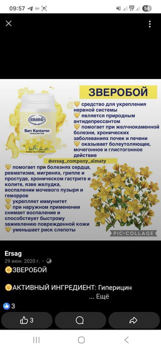 Эрсаг Туркия өнімдері