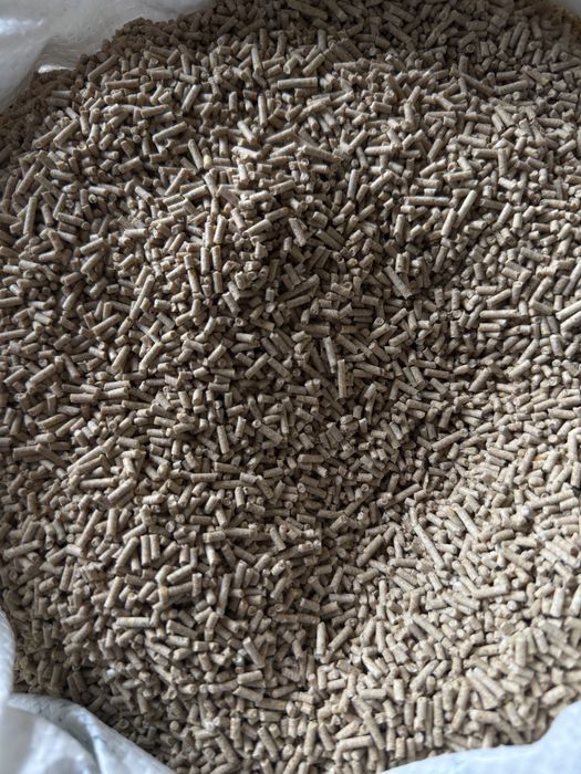 Старт для цыплят