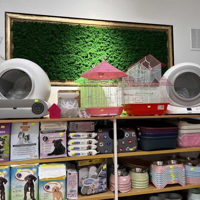 Afacere la cheie de vânzare – pet shop, grooming și punct farmaceutic veterinar – București, Sector 3