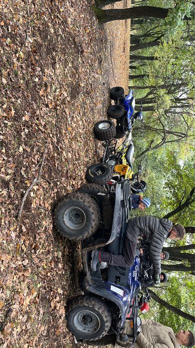 Atv linhai 300, an 2009(nu tgb,can-am,polaris,cf moto,yamaha,suzuki)