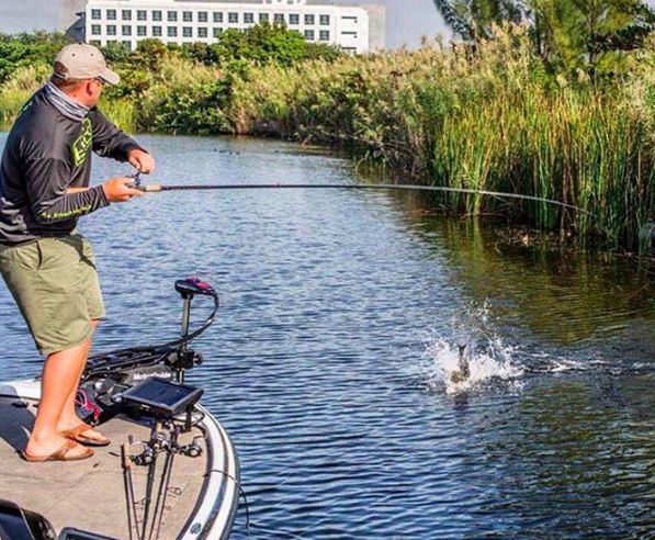 Diverse lansete de baitcasting si bfs