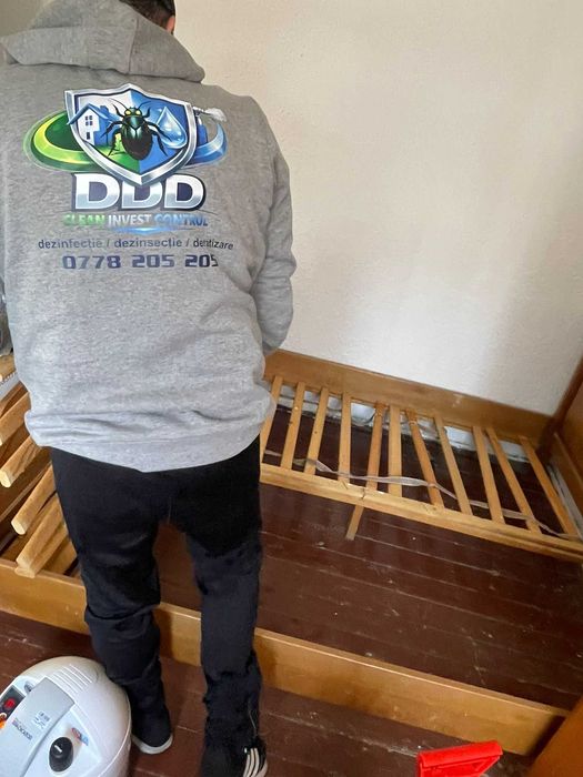 Servicii Profesionale Dezinsectie-gandaci,tantari,plosnite Bucuresti & Ilfov