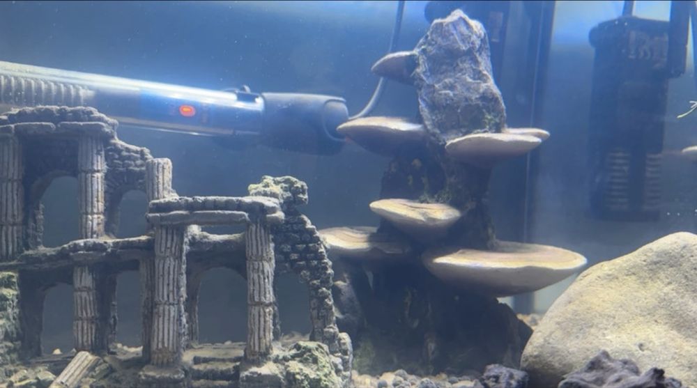 Decor acvariu folosite foarte putin .