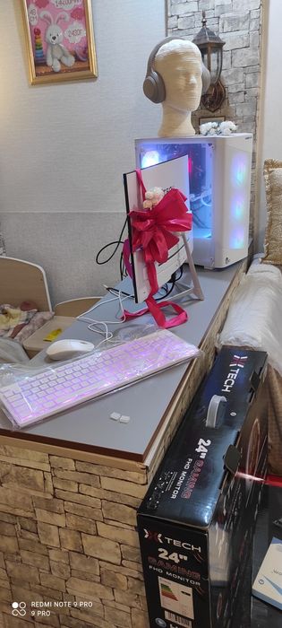 Keys monitor klava mishka.Igrovoy.