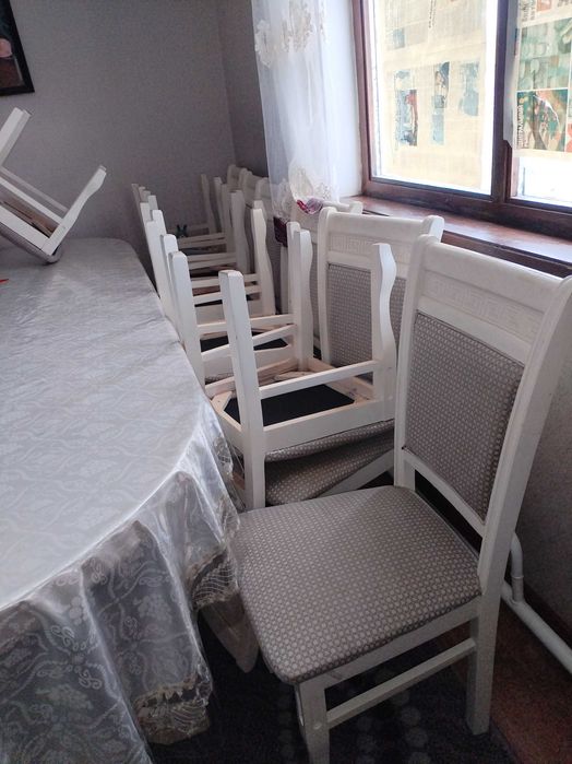 Сотол стуля бірге