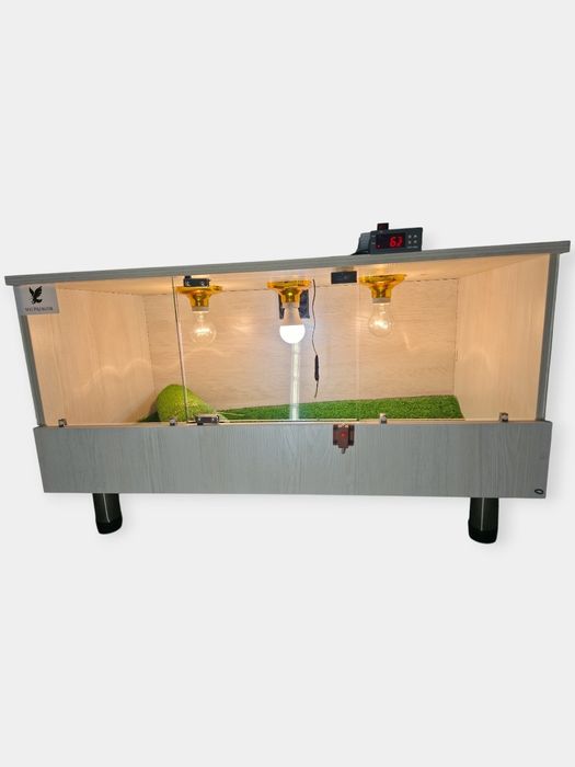 Bruder  Брудер zamonaviy