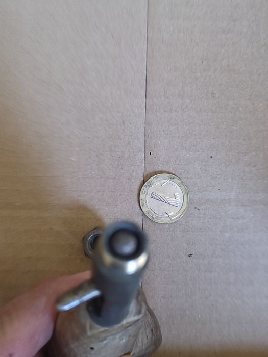 Оса, размер 5, 5