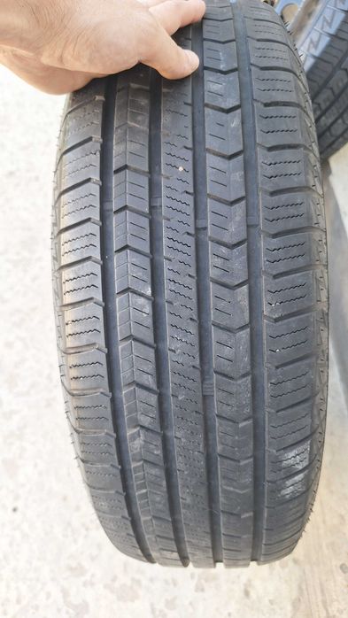 Cobalt diska balon kalpak R14