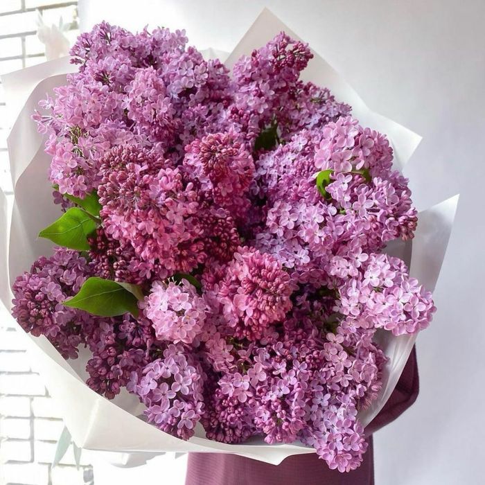 Продам букет сирени