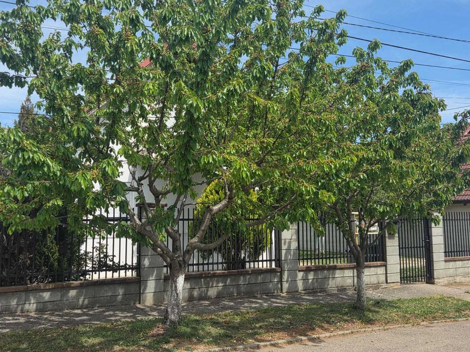 Casa de vanzare Dumbravita, zona premium, aproape de padure si lac, 450 mp teren