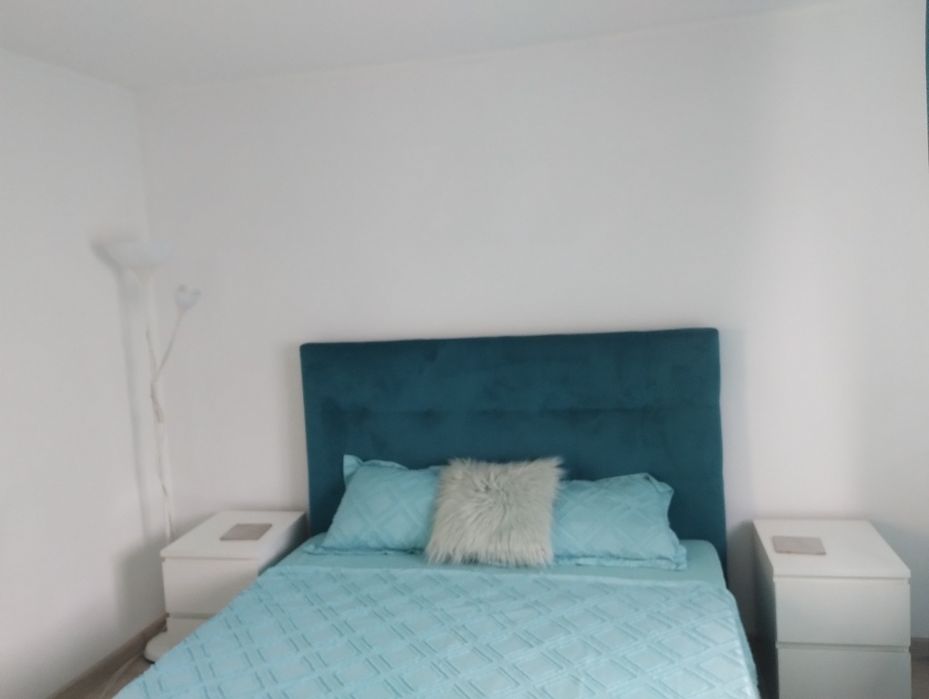 Proprietar inchiriez apartament Sebastian Rahova contr ANAF