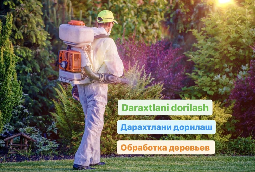 Landshaft dizayn, avtopoliv, gazon urug’i va ruloni, daraxtni dorilash