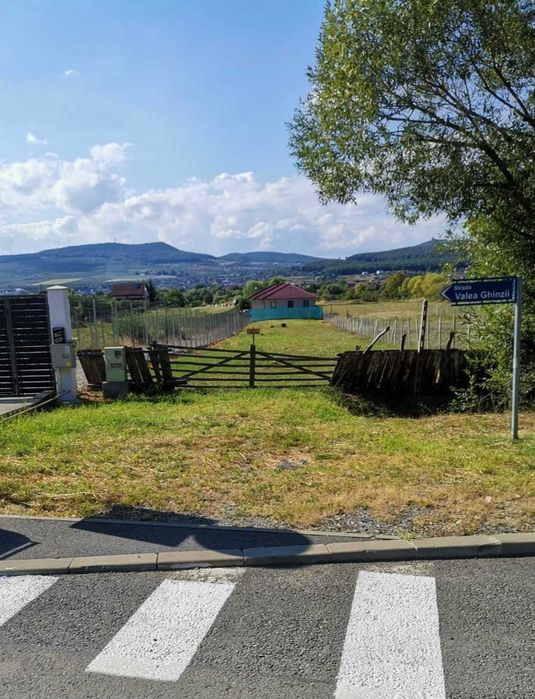 Teren de vanzare 12 ari, strada Valea Ghinzii, Bistrita
