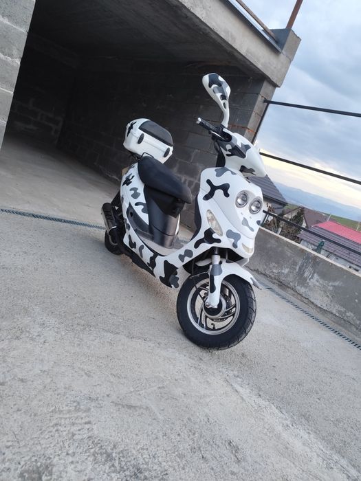 Scuter 49cm nerulat in RO