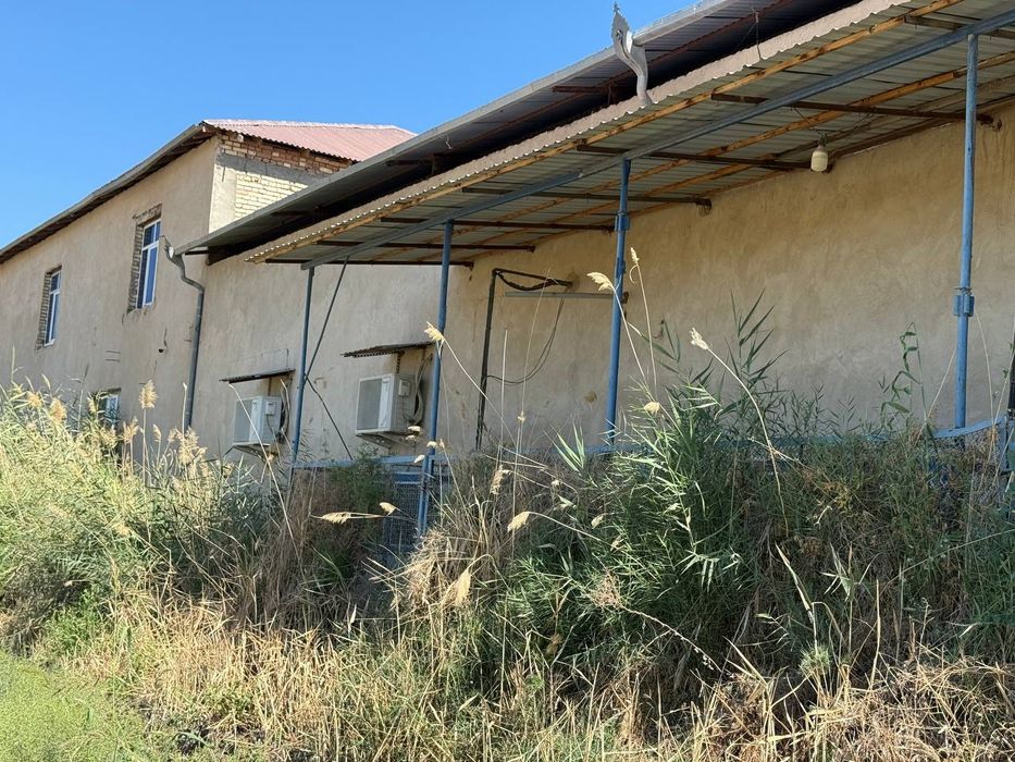 Kogon tumanidan muzlatgich kamerasi va barcha uskunalari hamda binosi