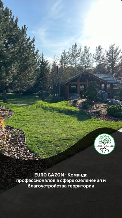 Газон посевной и рулонный