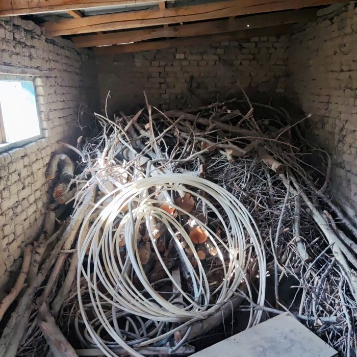 Сухие дрова фруктовых деревьев