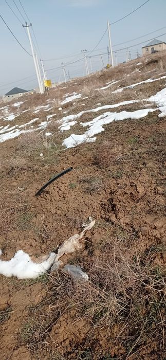 Недвижимость земля