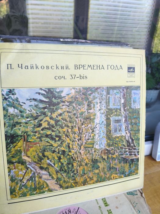 Виниловые пластинки