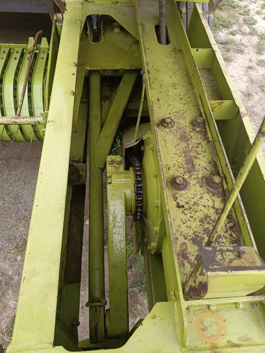 Class markant 65 podborshigi