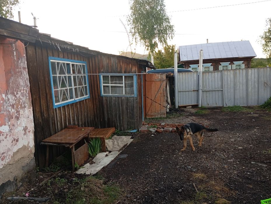 Продам дом в с. Бобровка