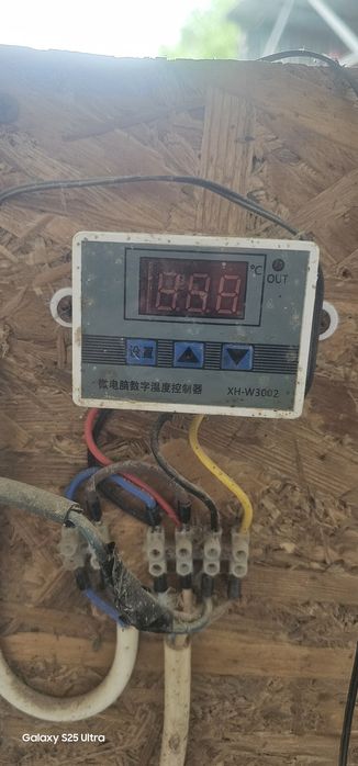 Клетка и инкубатор для перепелов