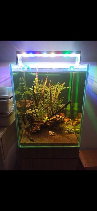 Аквариум с тумбой 80 литров