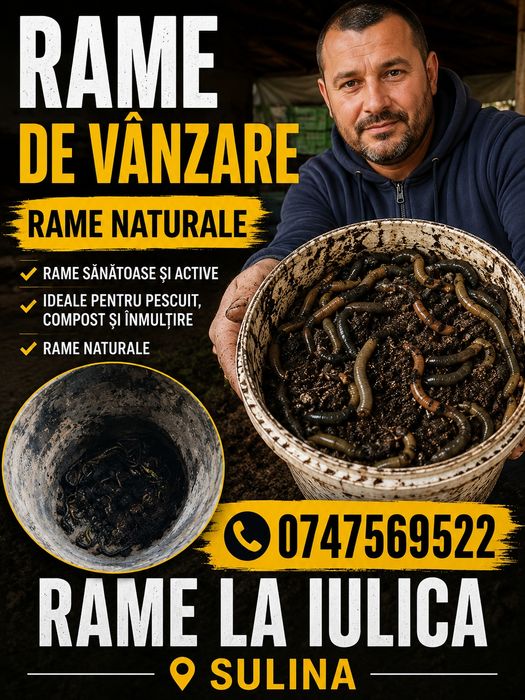 Rame negre Sulina