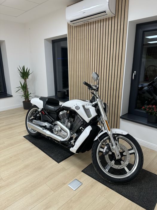 Harley Davidson VRod Muscle
